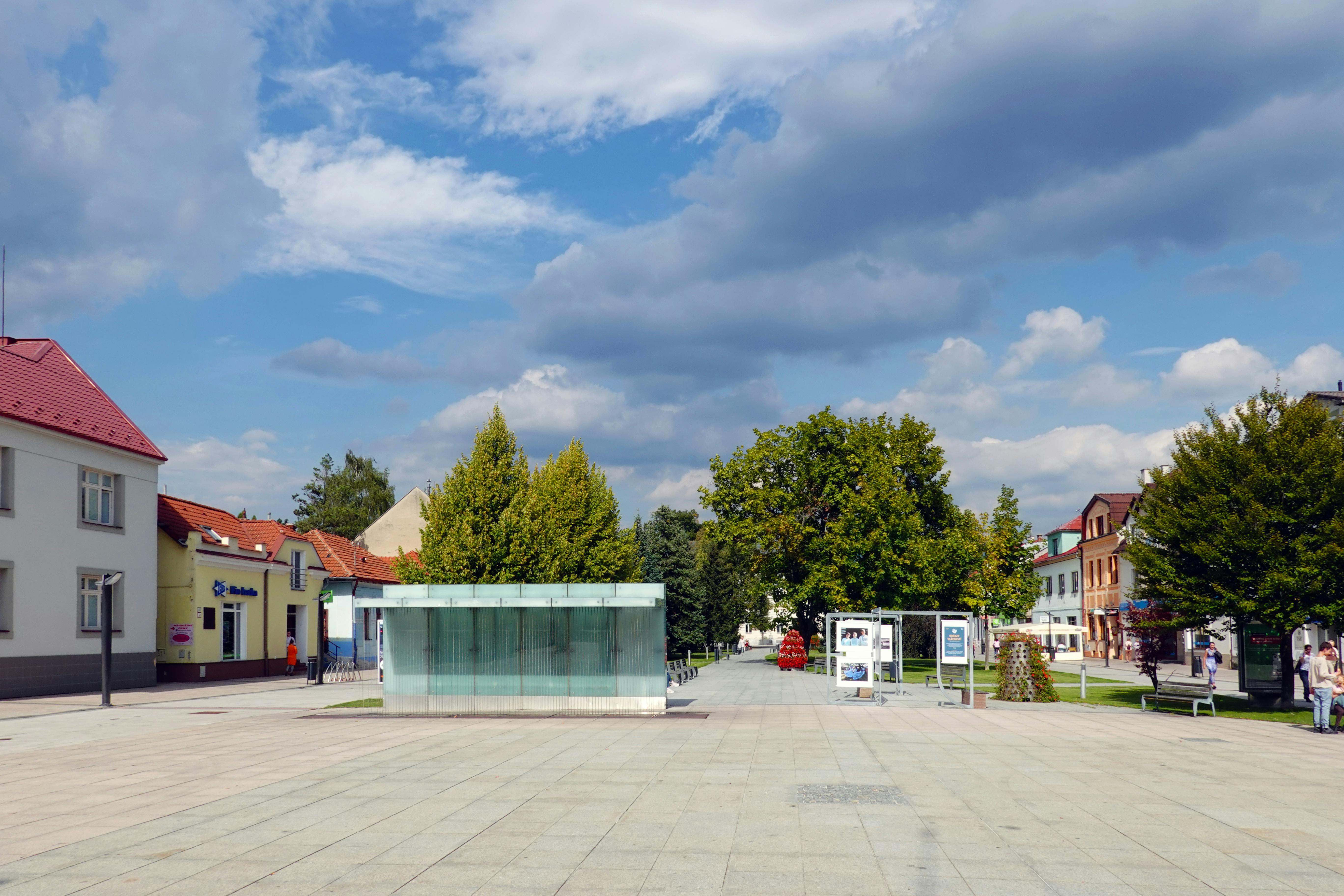 Medizin in Martin studieren