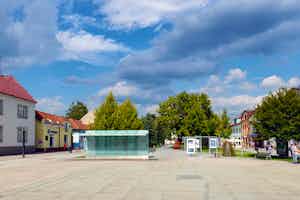 Medizin in Martin studieren