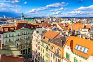 Phramazie in Brünn studieren