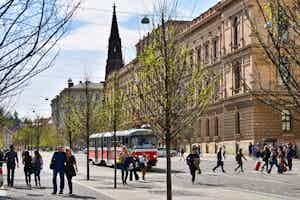 Tiermedizin in Brünn studieren